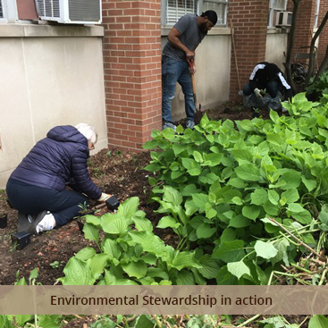 Three people using tools to work in the dirt.